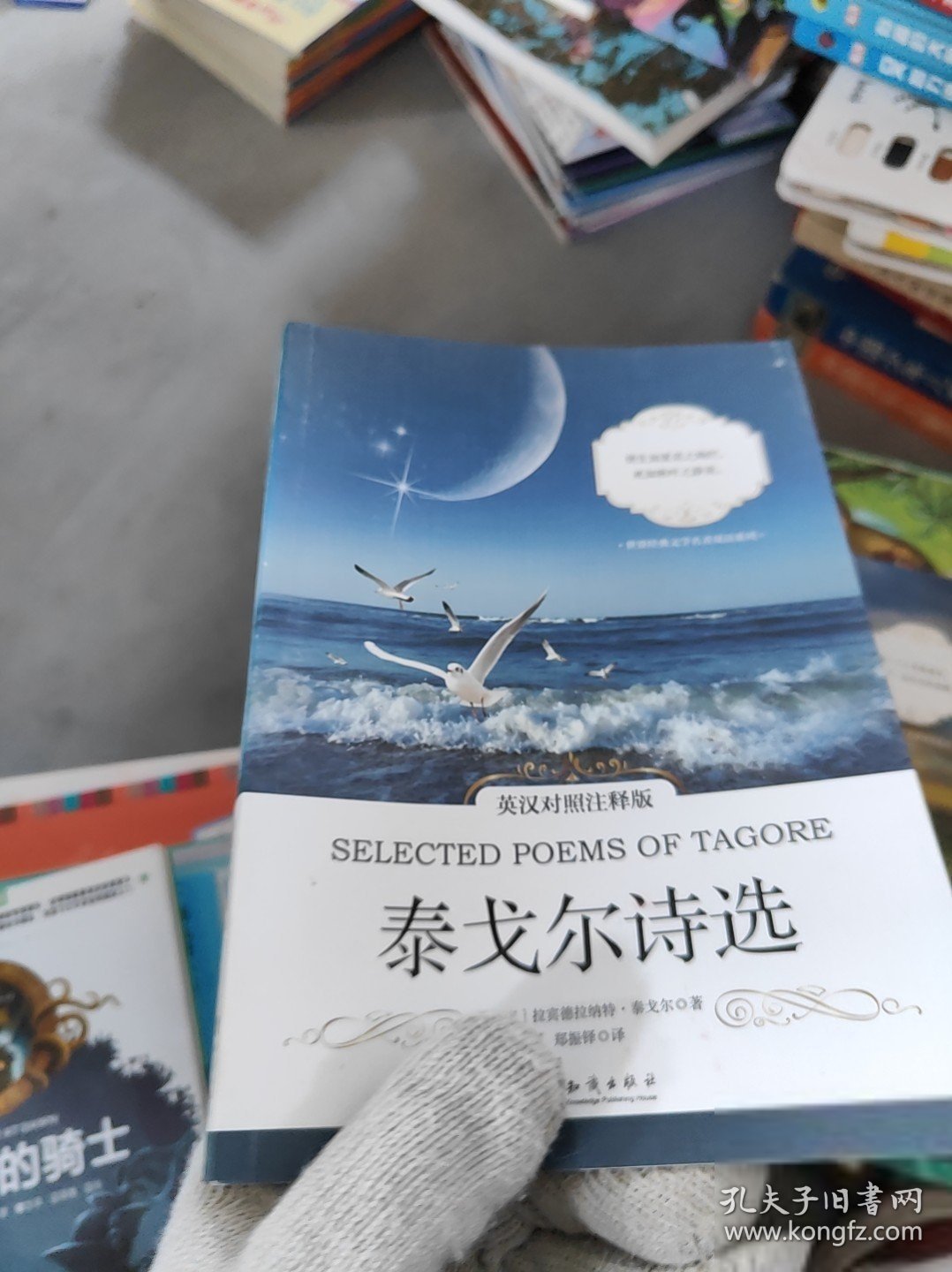 泰戈尔诗选 英汉对照注释版 世界经典文学名著双语系列[印]Rabindranath Tagore（拉宾德拉纳特·泰戈尔）9787501594771