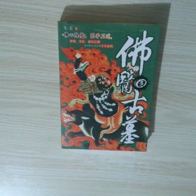 佛医古墓3
