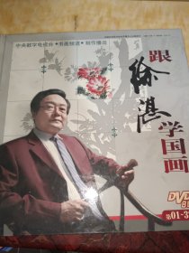 跟徐湛学国画（DVD8碟装）