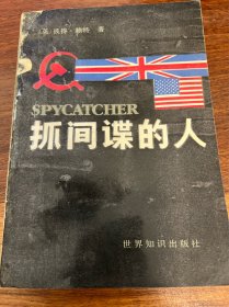 抓间谍的人