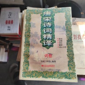 唐宋诗词精译（词卷）
