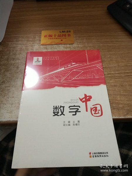 数字中国