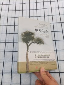 单身社会（精装）