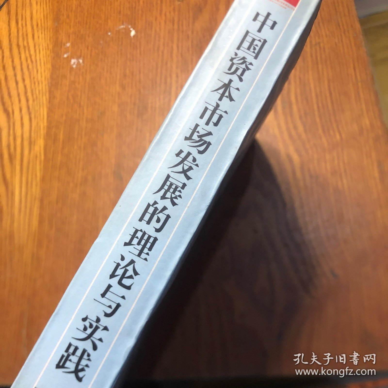 中国资本市场发展的理论与实践:庆祝北京大学百年校庆中国资本市场发展国际研讨会论文选