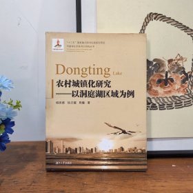 洞庭湖生态经济区研究丛书.农村城镇化研究--以洞庭湖区域为例