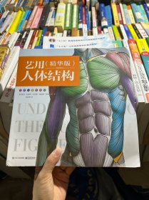 艺用人体结构