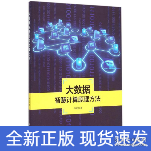 地理信息系统理论与应用丛书：大数据智慧计算原理方法