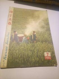 科学画报（1965年，第7期）