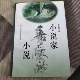 小说家喜爱的小说