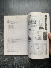 图解微型盆景栽培.4：杜松.枫树（馆藏书）