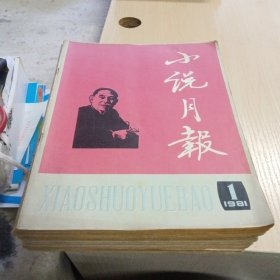 【期刊杂志】小说月报1981年第1-12期合售 16开 包快递费