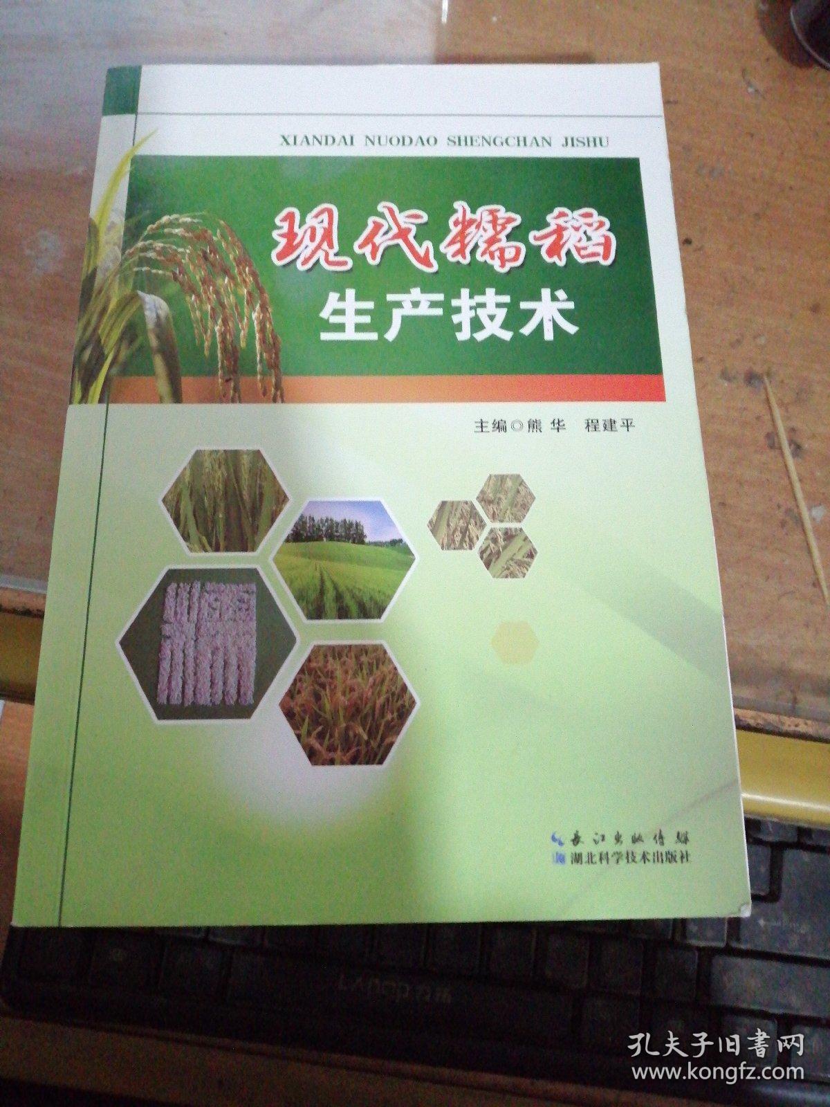 现代糯稻生产技术