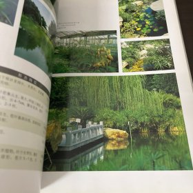 水体植物景观——现代园林植物景观丛书
