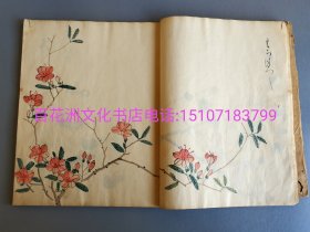 〔百花洲文化书店〕翎毛花卉写生：江户时代手绘画谱。原本线装一册全。非木板水印。题“翎毛花卉写生”。落款“文政十有一年，戊子，孟旾写。”即清道光8年，公元1828年。 周作人日记一则云，尝见孟旾印章一枚，惜未得见其作品。大概率此册乃周作人遗憾未见孟旾之手笔。又孟旾或仅为孟春之意。此绘本极开阔，44㎝×27.5㎝。共47对开，计绘作91幅面。 备注：买家必看最后一张图“详细描述”！