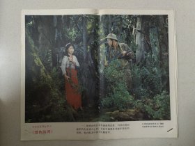 绿色的网（共8幅图）