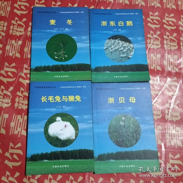 浙东白鹅