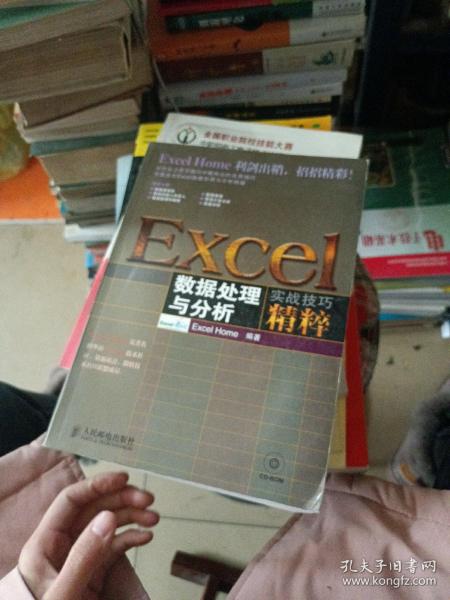 Excel数据处理与分析实战技巧精粹