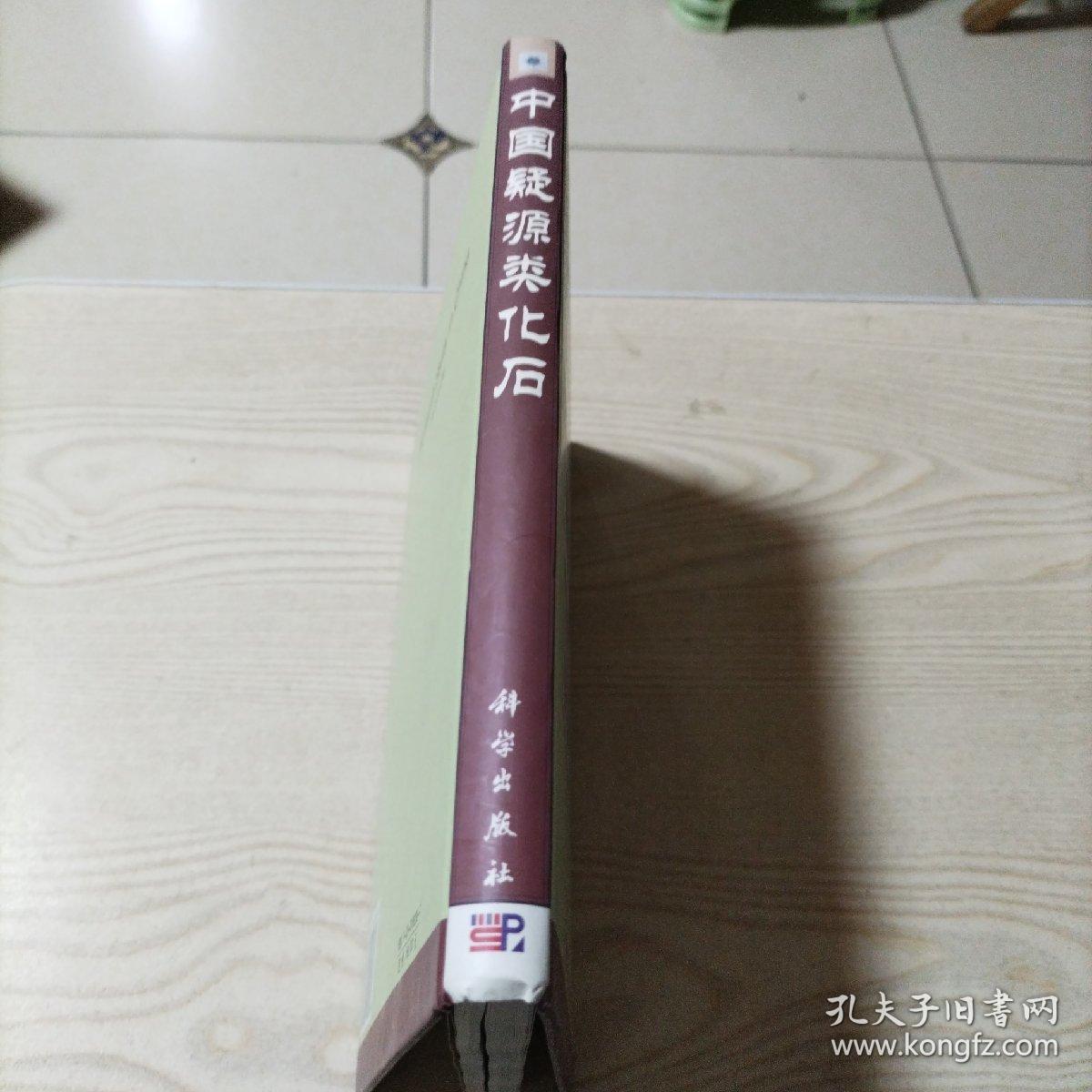 中国疑源类化石（精装本）