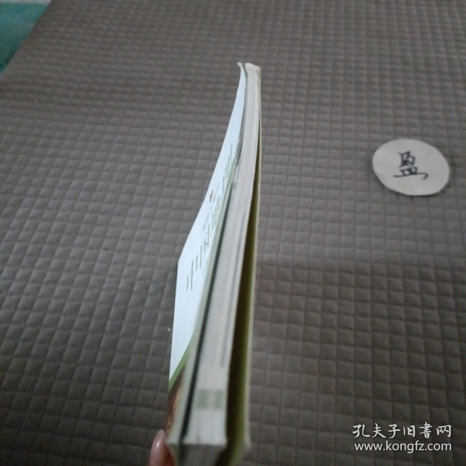 写给儿童的中国地理（3）：千里中原