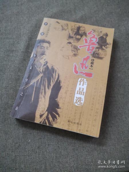 鲁迅作品选：小说·散文集 论文·杂文集