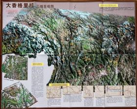 【专题地图】大香格里拉三维景观图 大香格里拉地区图