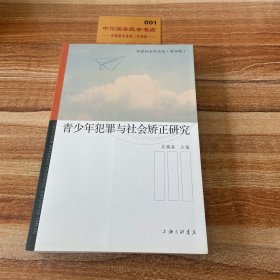 青少年犯罪与社会矫正研究/犯罪社会论坛（第四辑）