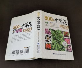 800种中草药彩色图鉴（白金珍藏版）