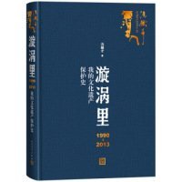 漩涡里：1990-2013我的文化遗产保护史（）