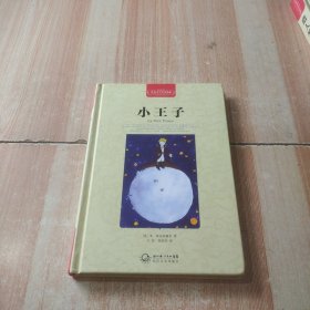 小王子:世界文学名著典藏 全译插图本 精装