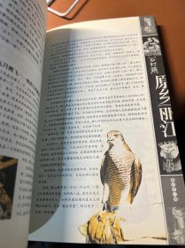 原乡丽江