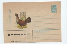 前苏联1981年松鸡普通邮资信封