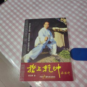 指上乾坤：点穴养生大师、两仪拳传承人段保华画传【段保华签名本】