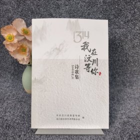 1314我在汶川等你诗歌集