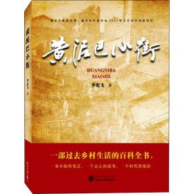 黃泥巴小街 中國(guó)現(xiàn)當(dāng)代文學(xué) 李光飛 新華正版