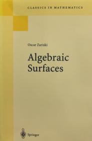 Algebraic surfaces