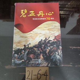 碧血丹心 纪念抗日战争胜利70周年