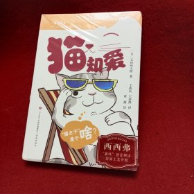 猫知爱
