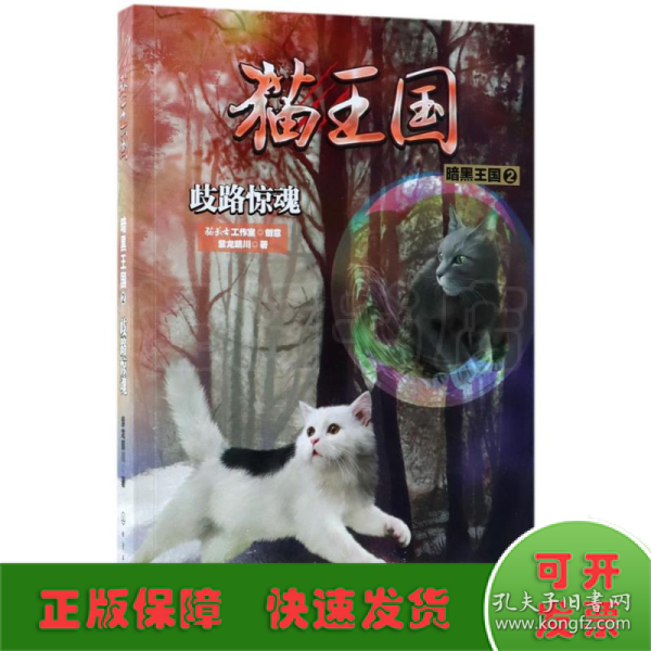 猫王国·暗黑王国.2，歧路惊魂