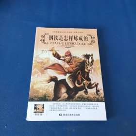 钢铁是怎样炼成的。彩图注音版