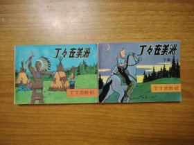 丁丁在美洲