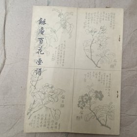 和庵百花画谱