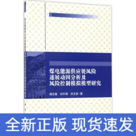 煤电能源供应链风险递展动因分析及风险控制模拟模型研究