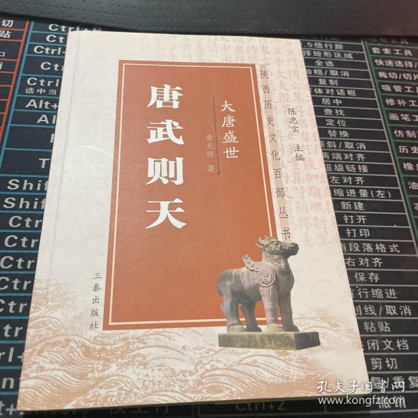 大唐盛世：唐代名将