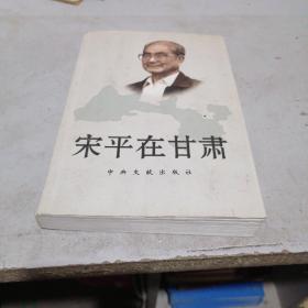宋平在甘肃