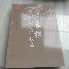 象棋杀法任我选