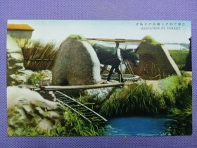 03596 民俗 农家 驴马 取水 民国 时期 老明信片