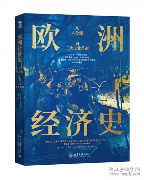 欧洲经济史：从大分流到三次工业革命 以全球视野，讲述1700年至今欧洲经济的故事