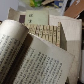 清史稿(全四十八册)24本合售