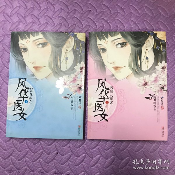 云鬓花颜之风华医女（上下）