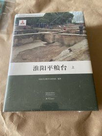 全新正版图书 淮阳平粮台(上下)河南省文物考古研究院大象出版社9787571116651